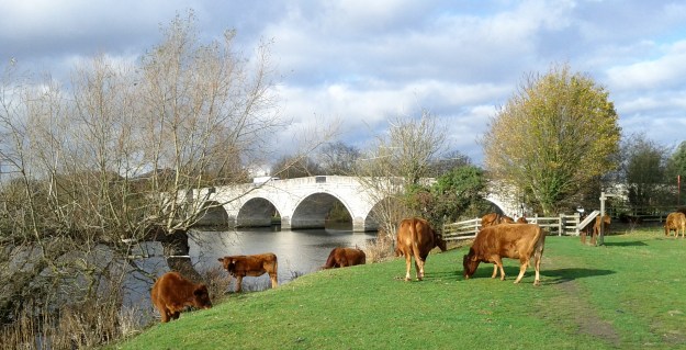 I have forgotten which Bridge this is?
