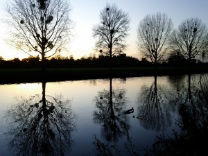 Thames evening